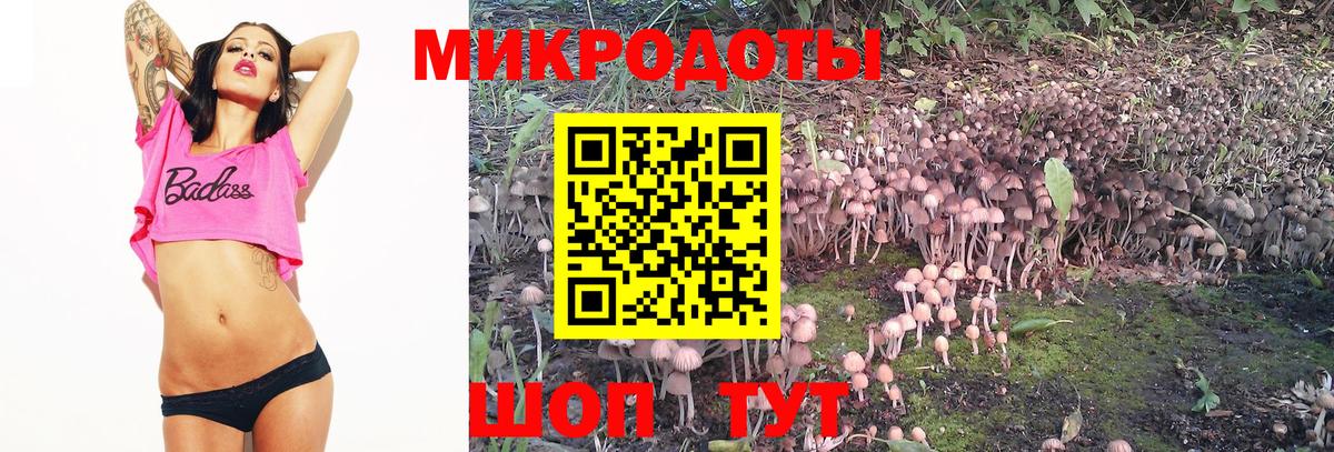 Псилоцибиновые грибы мухоморы  Вход с VPN  Галлюциногенные грибы Psilocybine cubensis  Саянск 